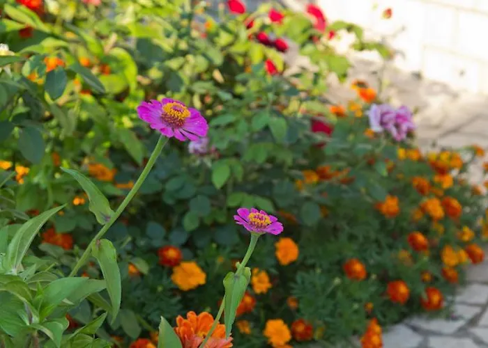 Renato Апартаменты Пореч